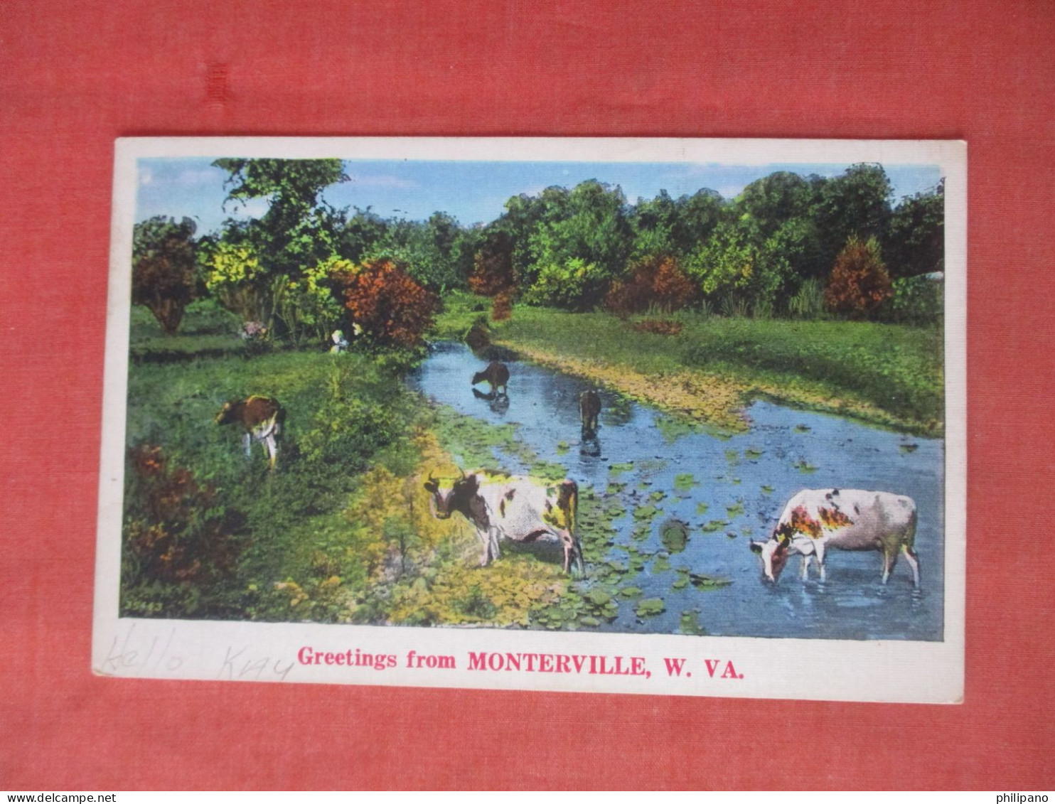 Greetings Monterville   West Virginia    Ref 6054 - Otros & Sin Clasificación