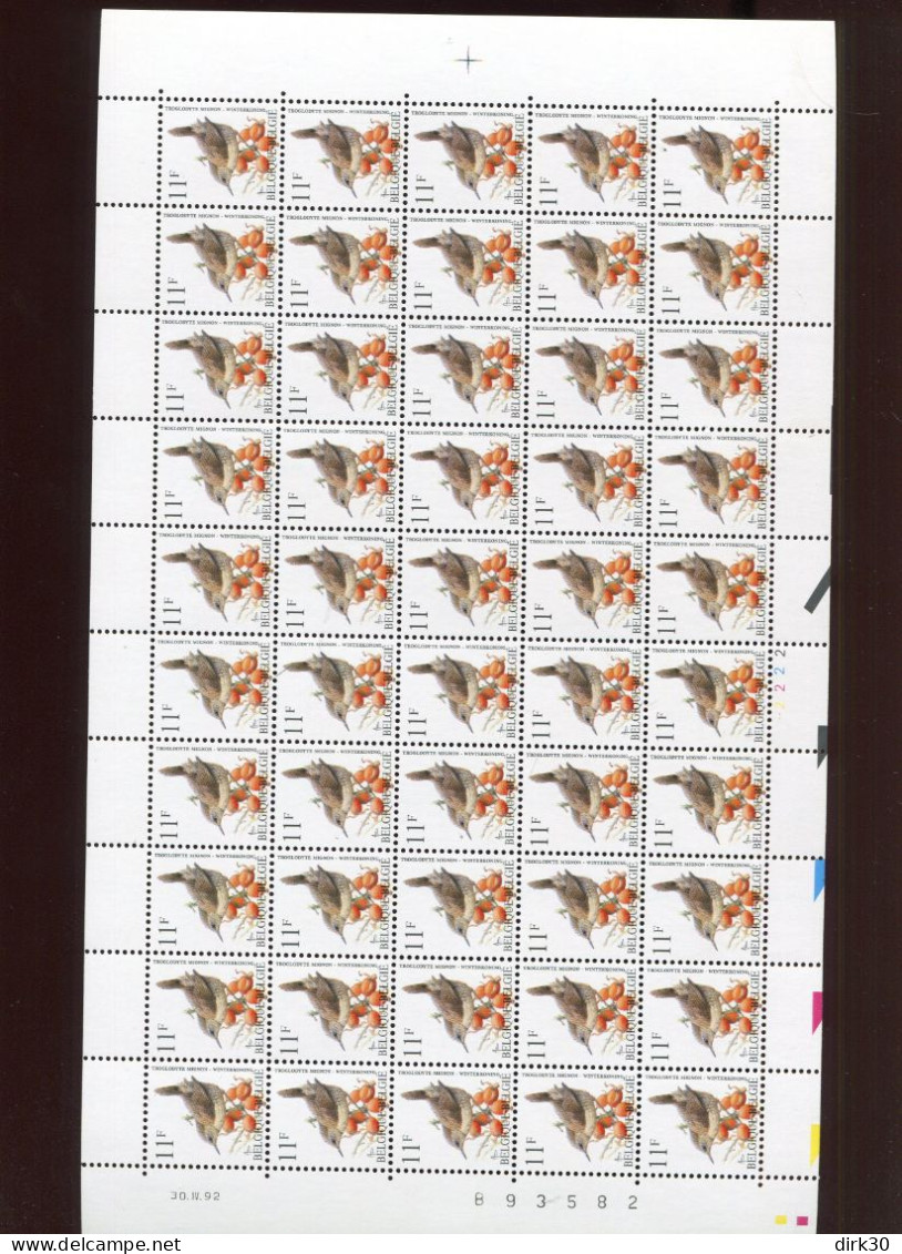 Belgie Buzin Vogels 2449 Volledig Vel Drukdatum 30/4/1992 Plaatnummer Numéro De Planche 2 Date R !! - 1991-2000