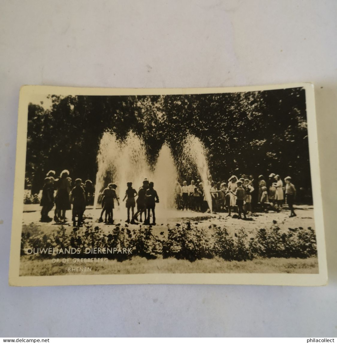 Rhenen (Utr..) Ouwehand's Dierenpark (Zoo) Kinderen Bij De Fontein 195 - Rhenen