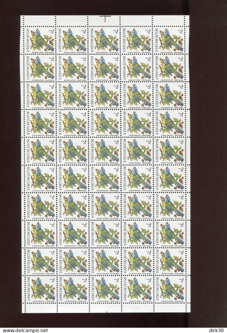 Belgie Buzin Vogels 2261 Volledig Vel Alle Zijden Getand ! - 1991-2000