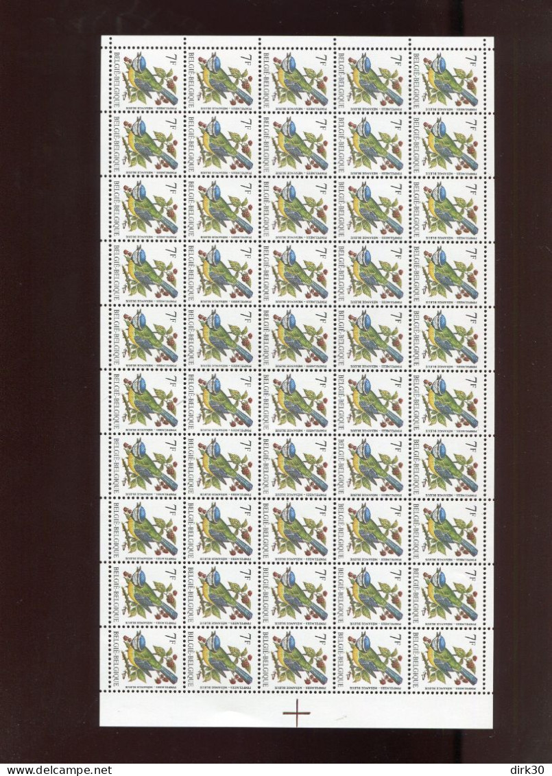 Belgie Buzin Vogels 2261 Volledig Vel Rechts Ongetand ! - 1991-2000