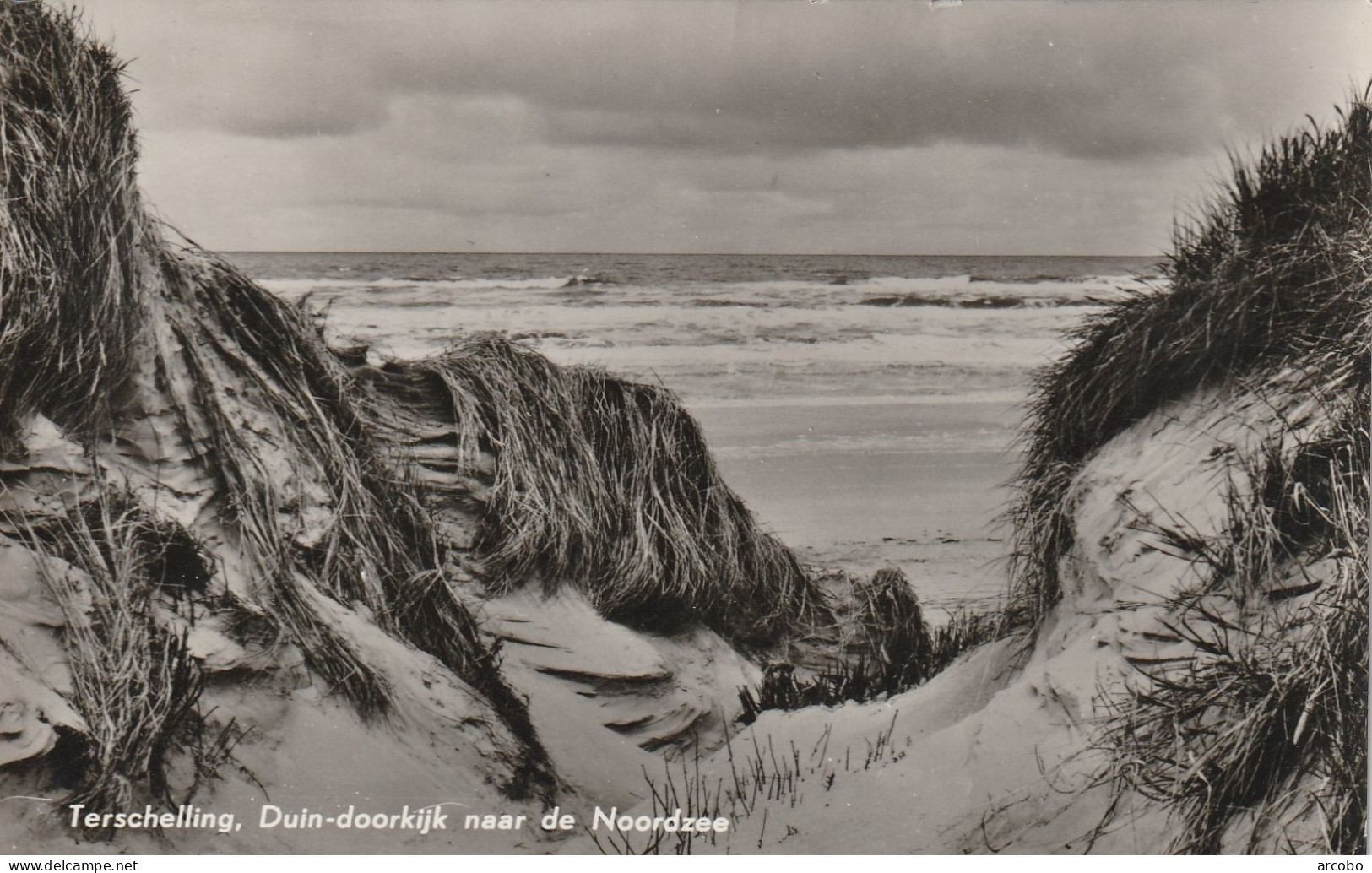 Terschelling Duindoorkijk Naar De Noordzee - Terschelling