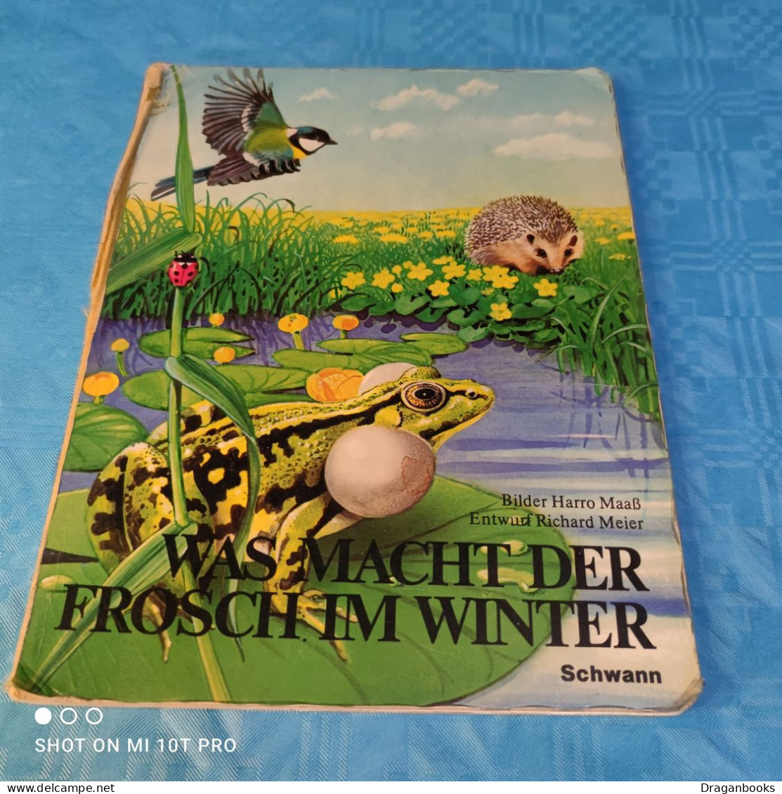 Was Macht Der Frosch Im Winter - Libri Di Immagini