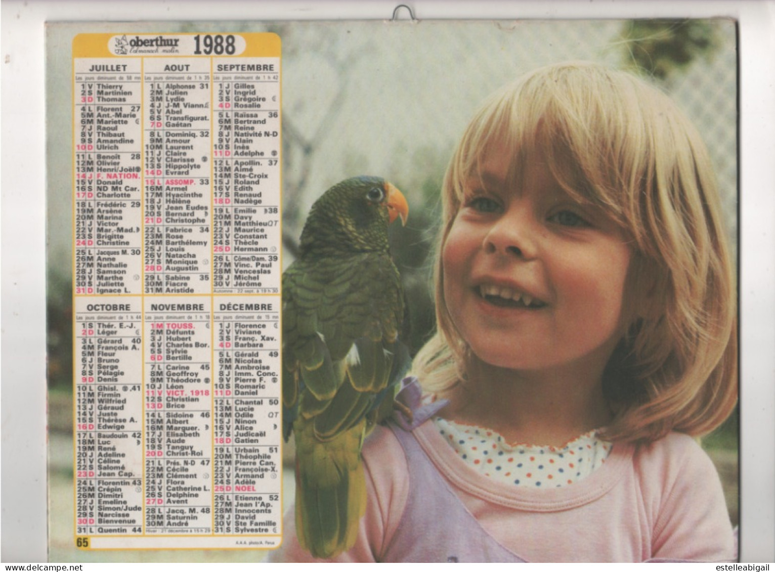 Calendrier Des Postes 1988 - Groot Formaat: 1981-90