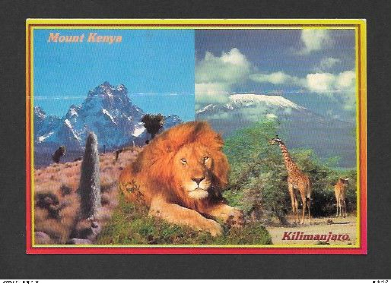 Animaux & Faune - Animals - Giraffe & Lion - Mount Kenya Kilimanjaro With Lion & Giraffe - Copyright By Sapra Studio - Giraffes