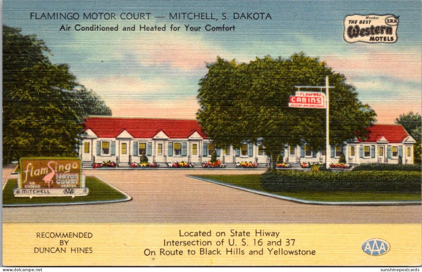 South Dakota Mitchell Flamingo Motor Court - Sonstige & Ohne Zuordnung