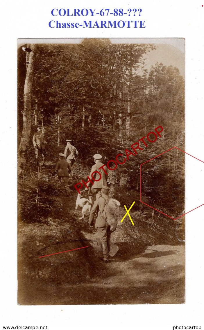 COLROY-LA GRANDE-88 Ou LA ROCHE-67-Chasse-MARMOTTE-CARTE PHOTO Allemande-GUERRE 14-18-1 WK-France-Militaria- - Colroy La Grande