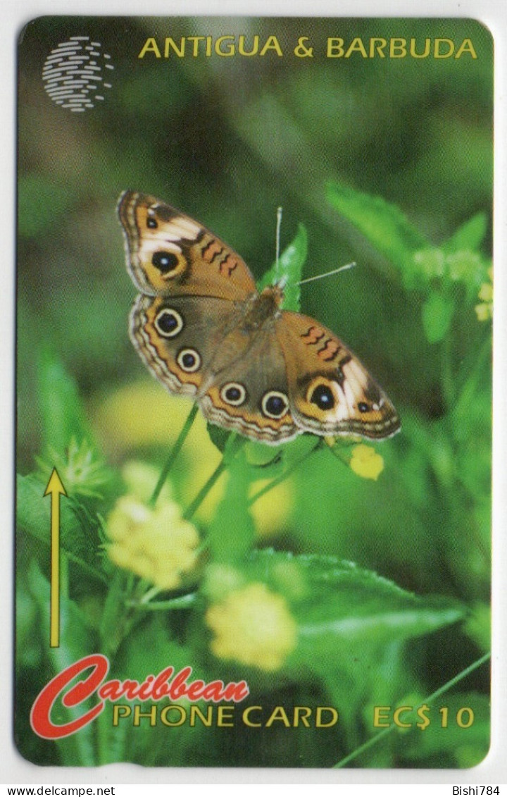 Antigua & Barbuda - Donkey Eye Butterfly - 264CATB - Antigua Et Barbuda