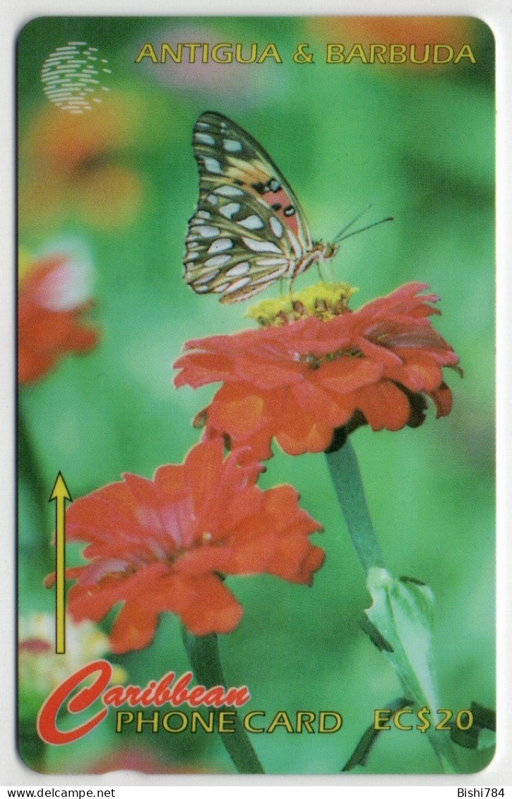 Antigua & Barbuda - The Futillary Or Flambeau Butterfly - 151CATD - Antigua En Barbuda