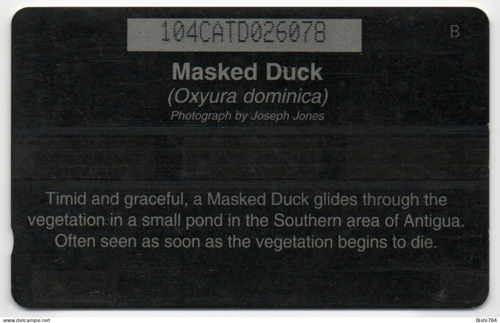 Antigua & Barbuda - Masked Duck - 104CATD (with Slashed Ø) - Antigua En Barbuda