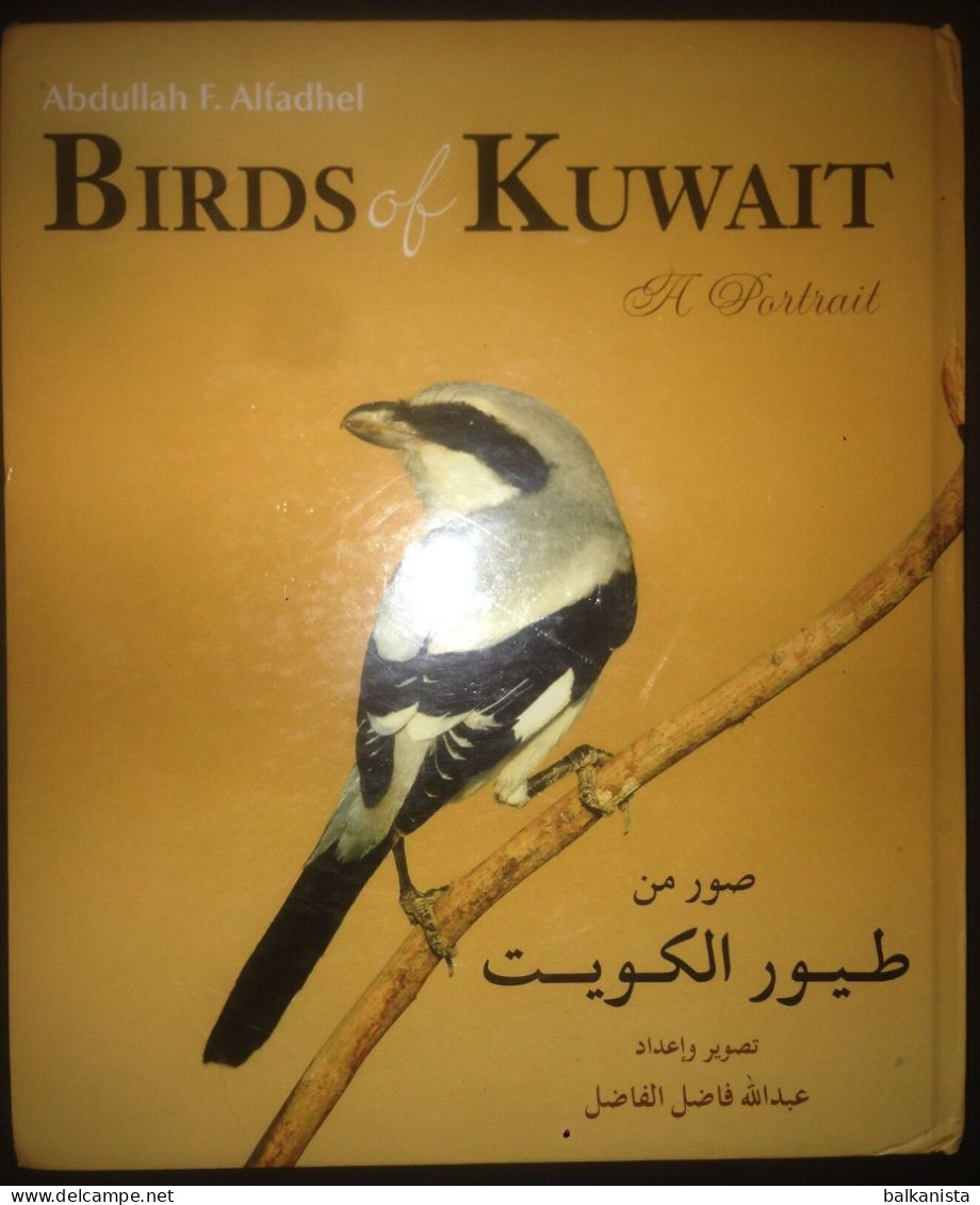 KUWAIT Birds Of Kuwait A Portrait Abdullah F. Alfadhel Ornithology - Autres & Non Classés