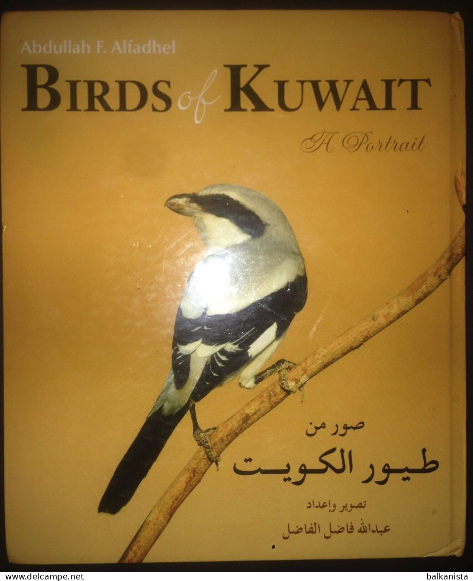 KUWAIT Birds Of Kuwait A Portrait Abdullah F. Alfadhel Ornithology - Other & Unclassified