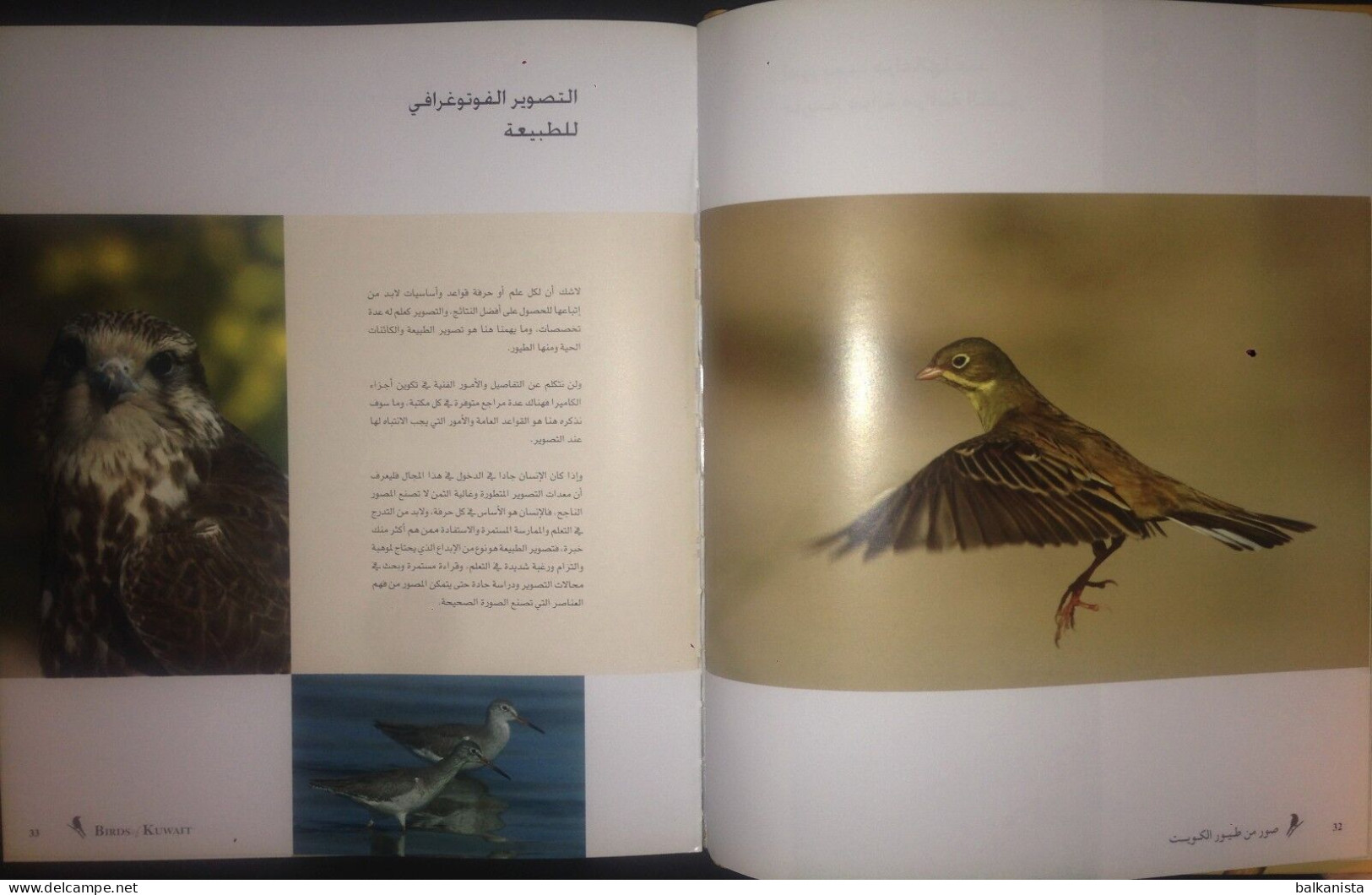 KUWAIT Birds Of Kuwait A Portrait Abdullah F. Alfadhel Ornithology - Sonstige & Ohne Zuordnung