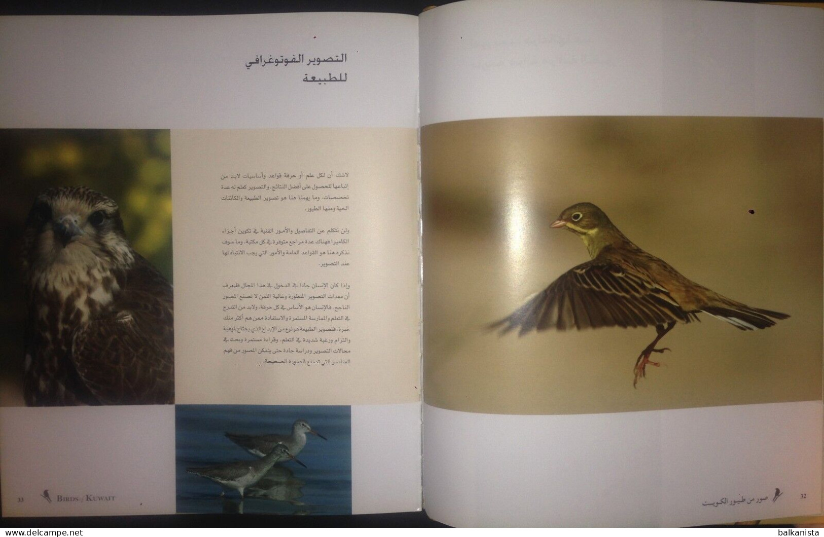 KUWAIT Birds Of Kuwait A Portrait Abdullah F. Alfadhel Ornithology - Andere & Zonder Classificatie