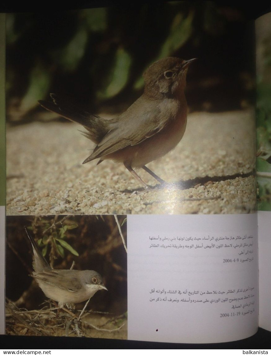 KUWAIT Birds Of Kuwait A Portrait Abdullah F. Alfadhel Ornithology - Autres & Non Classés