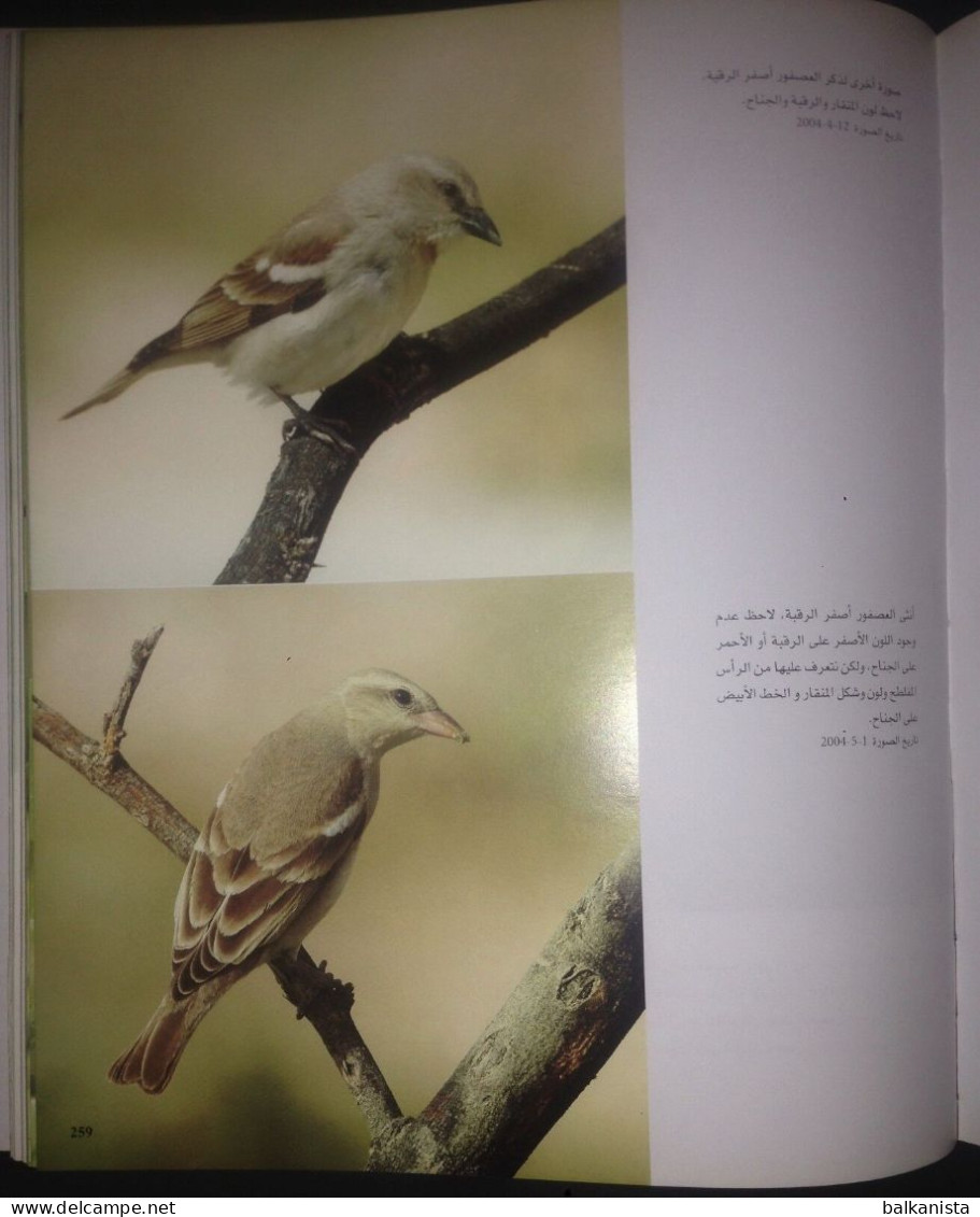 KUWAIT Birds Of Kuwait A Portrait Abdullah F. Alfadhel Ornithology