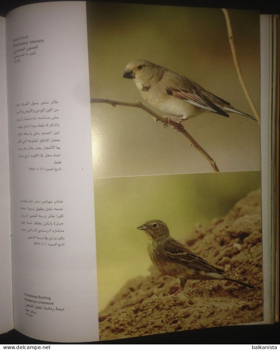 KUWAIT Birds Of Kuwait A Portrait Abdullah F. Alfadhel Ornithology