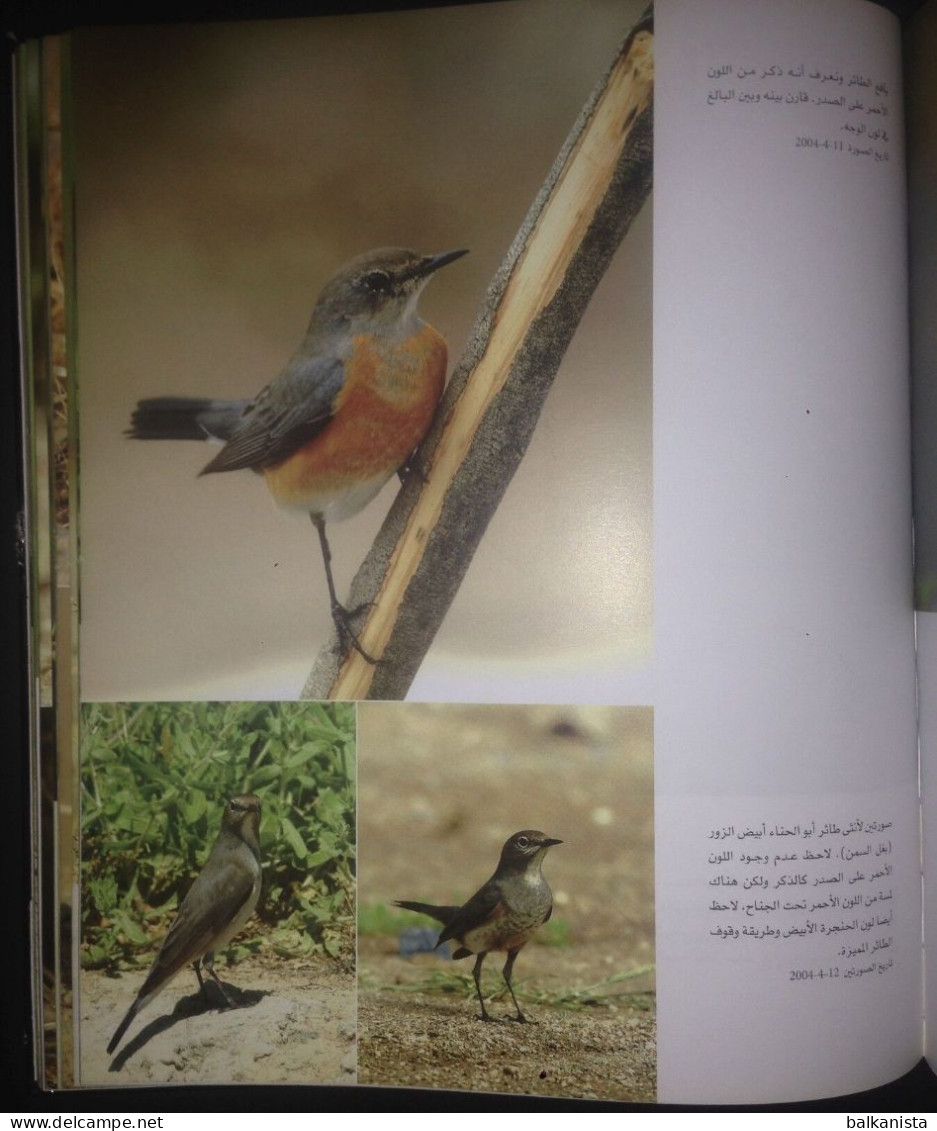 KUWAIT Birds Of Kuwait A Portrait Abdullah F. Alfadhel Ornithology