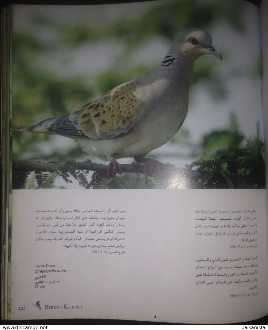 KUWAIT Birds Of Kuwait A Portrait Abdullah F. Alfadhel Ornithology