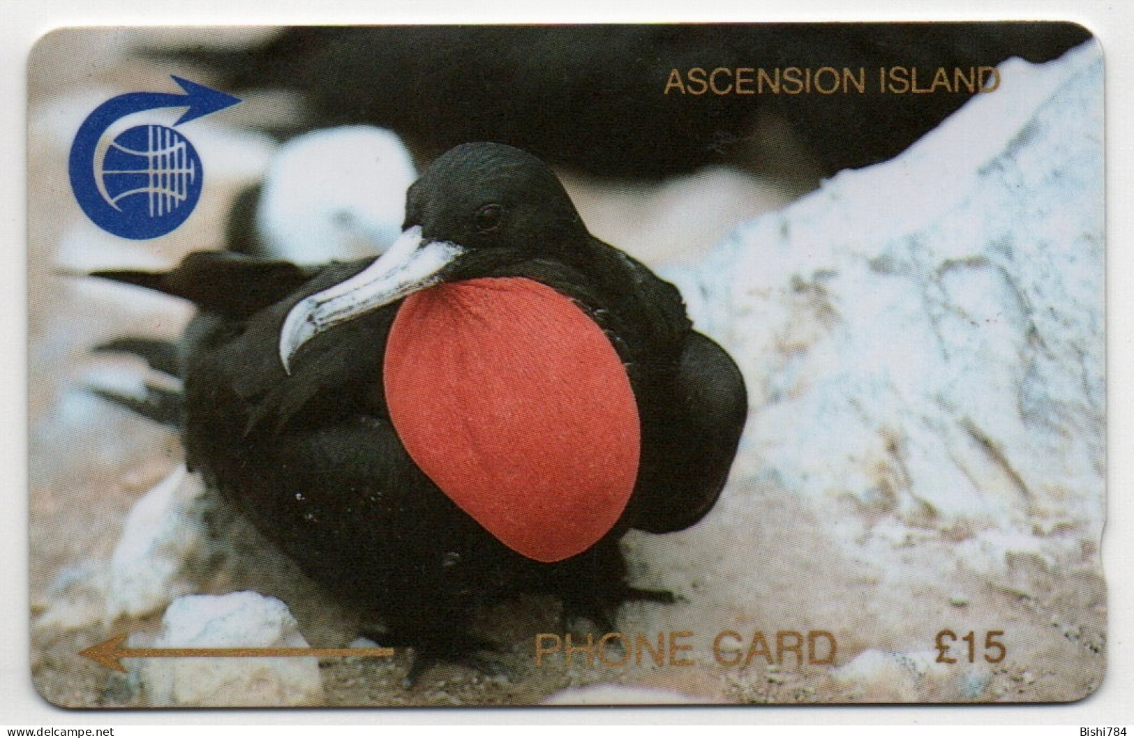 Ascension Island - Frigate Bird - 1CASD - Isole Ascensione