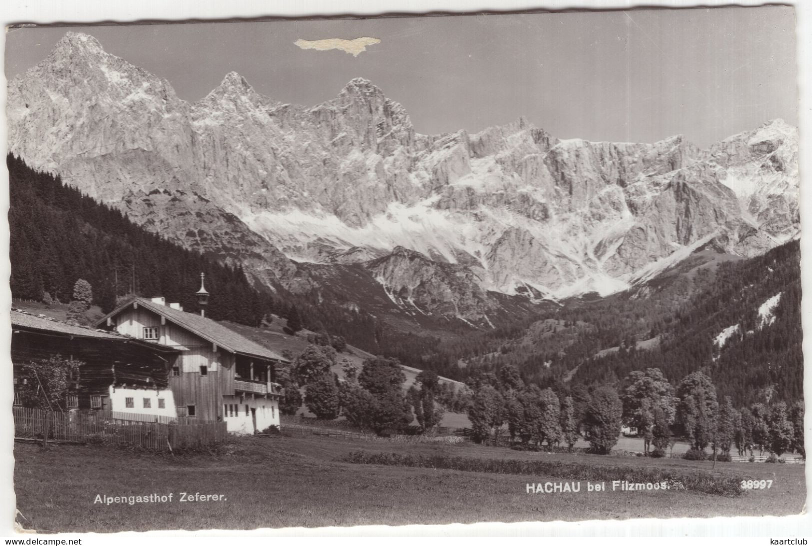 Hachau Bei Filzmoos - Alpengasthof 'Zeferer'  -  (Österreich/Austria)  - 1964 - (P. Ledermann) - Filzmoos