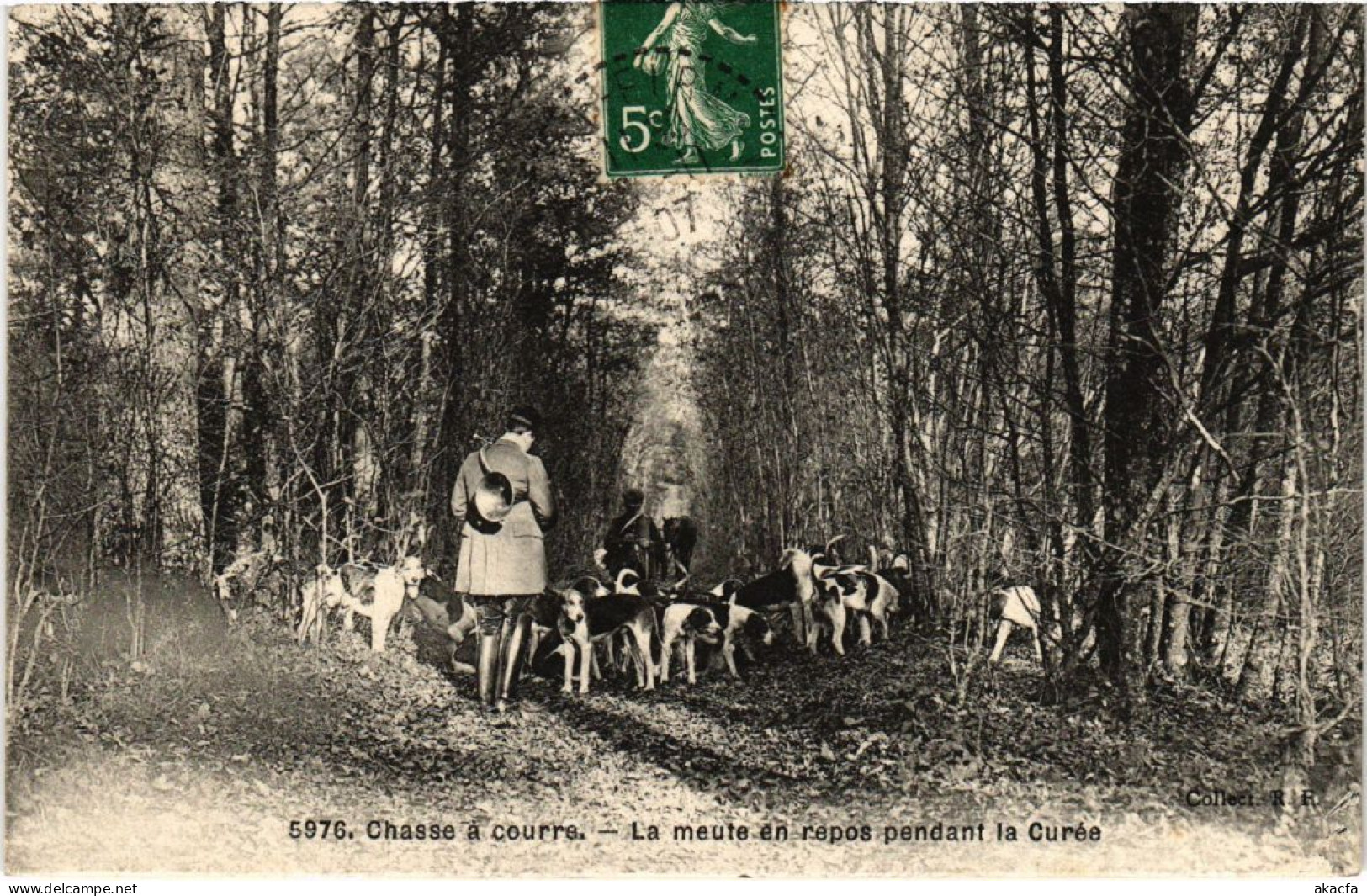 PC CHASSE A COURRE LA MEUTE EN REPOS HUNTING SPORT (a35049) - Chasse