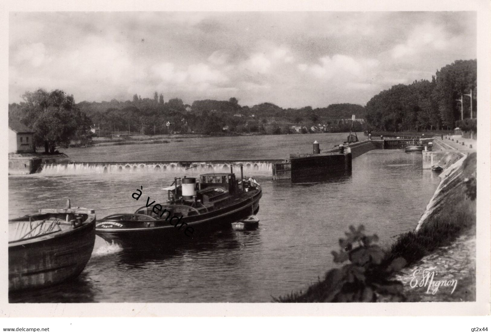 CHARDONNERET à Bois-le-Roi - Tugboats