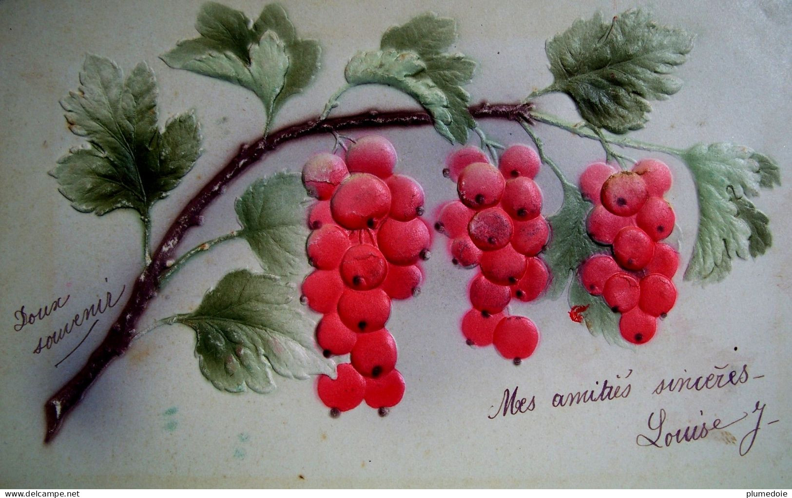 CPA  Gaufrée FRUITS UNE BRANCHE DE GROSEILLER .GROSEILLES   CURRANT  GOOSEBERRIES Embossed  Early PC - Plantes Médicinales