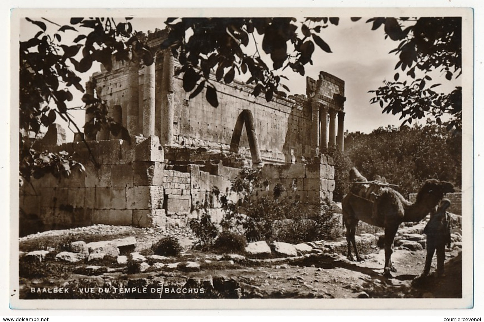 CPSM - SYRIE - BAALBEK - Vue Du Temple De Bacchus - Siria