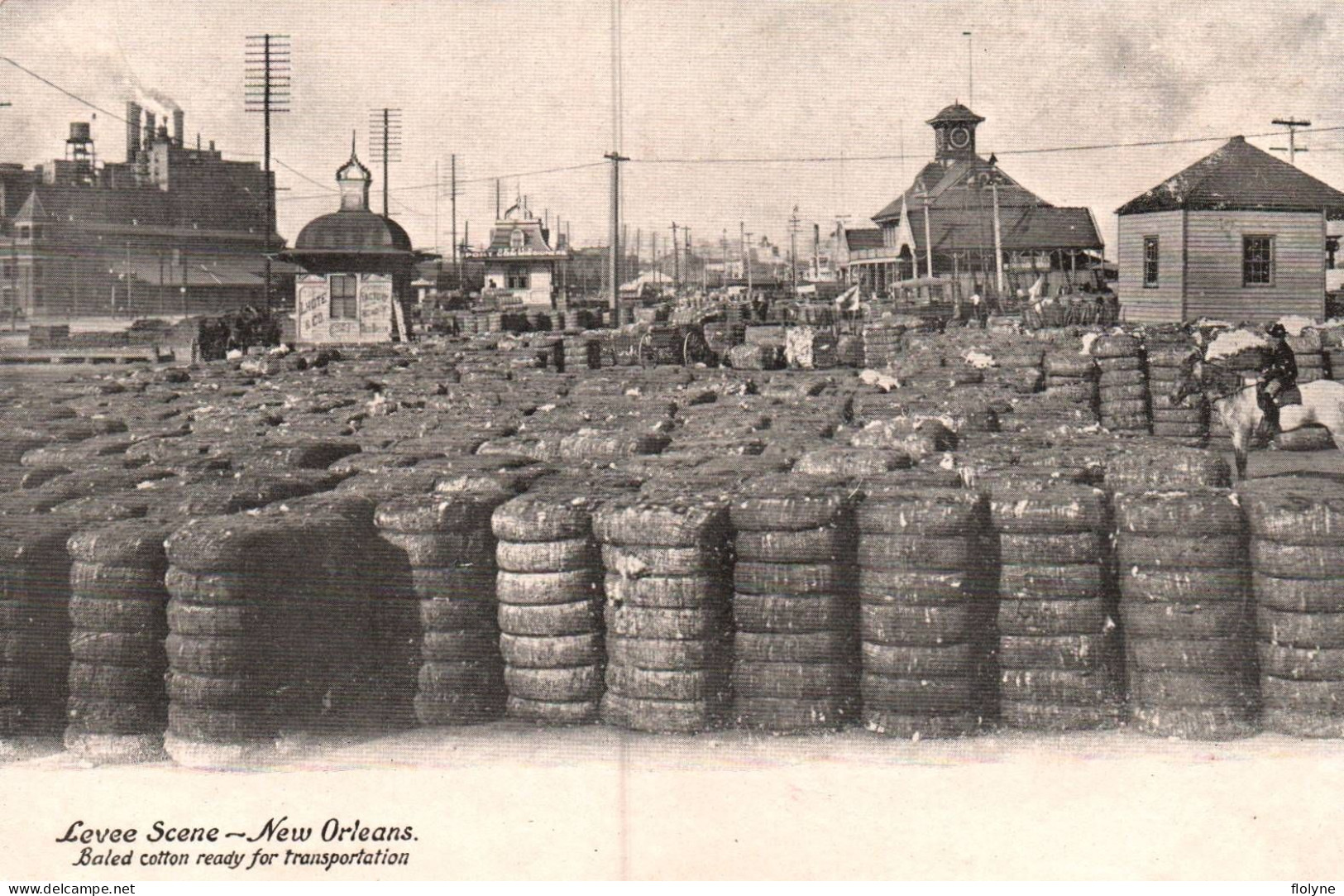 New Orleans - Levee Scene - Baled Cotton Ready For Transportation - Usa - New Orleans