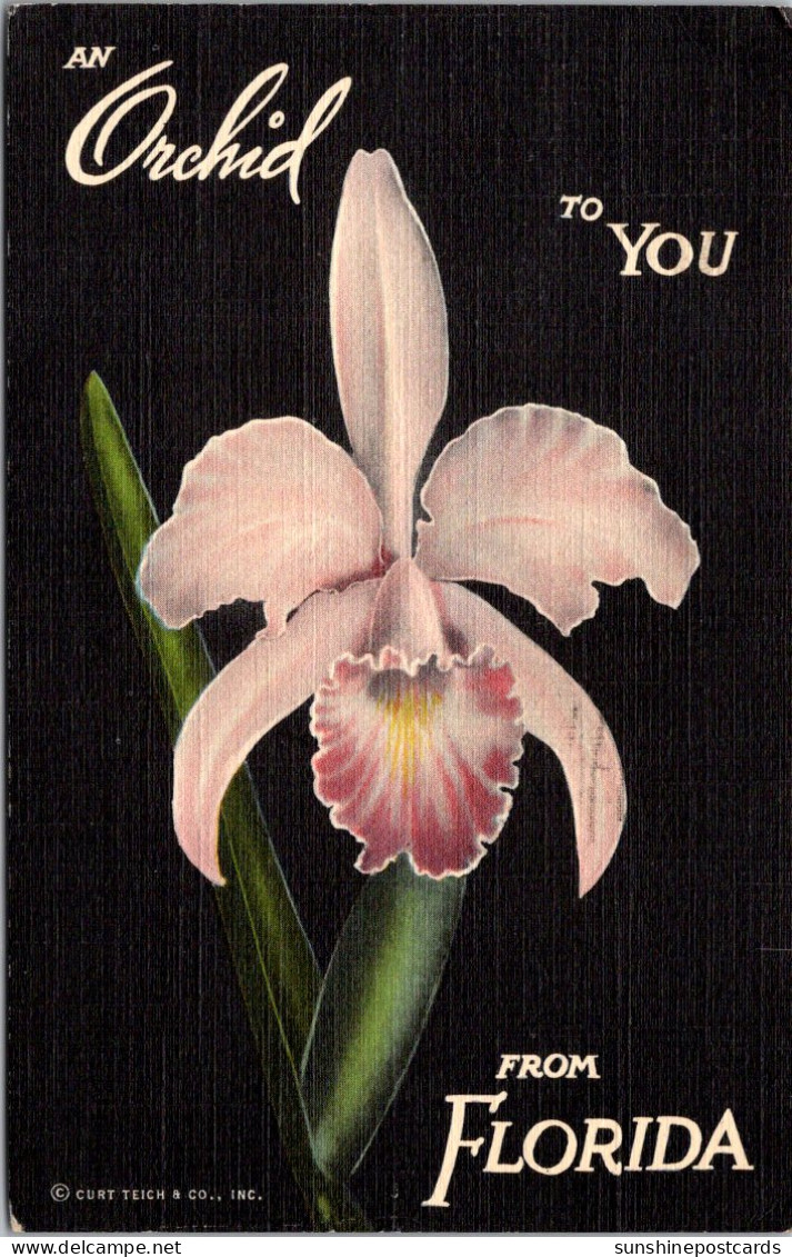 Florida Orlando Mead Botanical Gardens An Orchid To You From Florida 1941 Curteich - Orlando