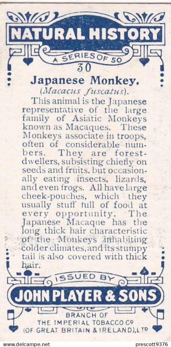 30 Japanese Monkey  - Natural History 1924 - Players Cigarette Card - Original - Player's