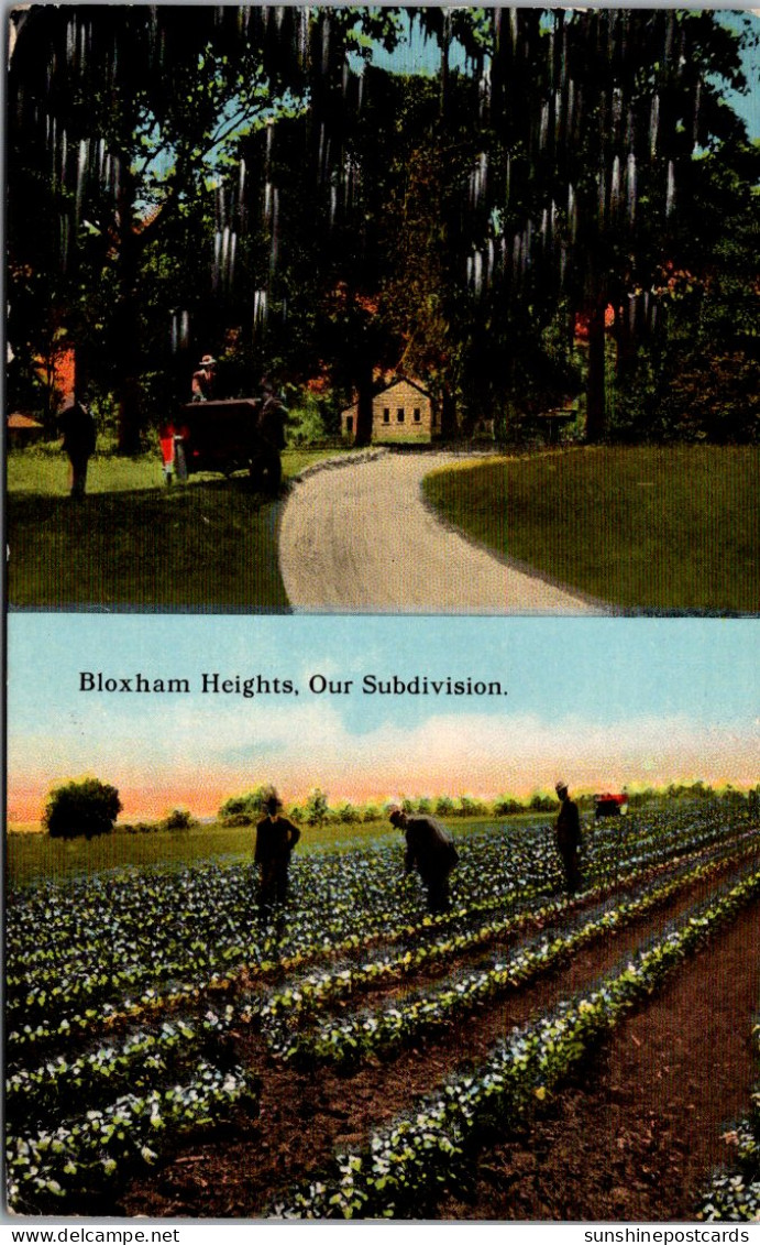 Florida Jacksonville Bloxham Heights Showing Bloxham Plantation The Riddle Company 1913 - Jacksonville