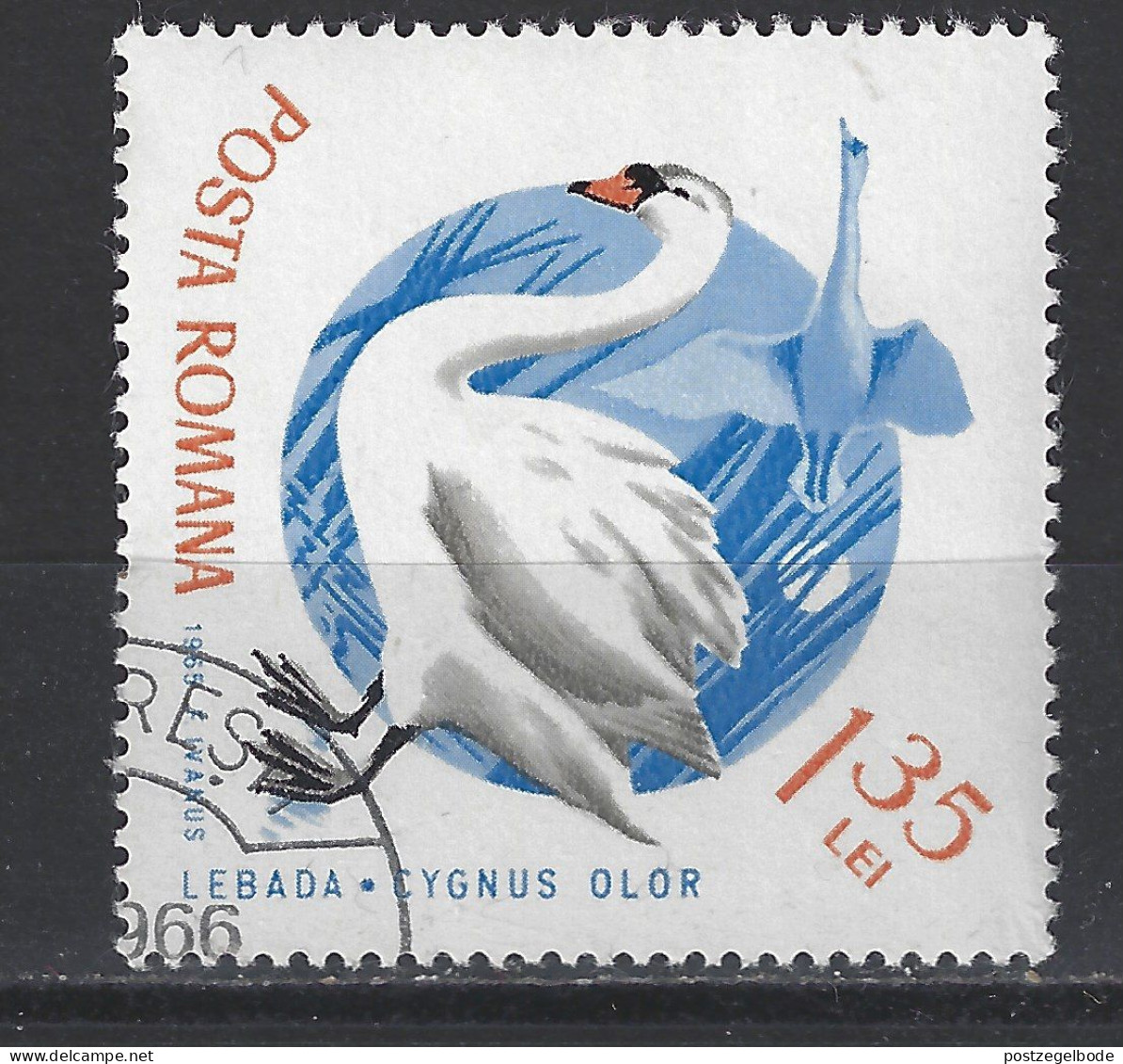 Roemenie Romania Romana Used; Zwaan Swan Cisne Cygne NOW MANY ANIMAL STAMPS - Cisnes