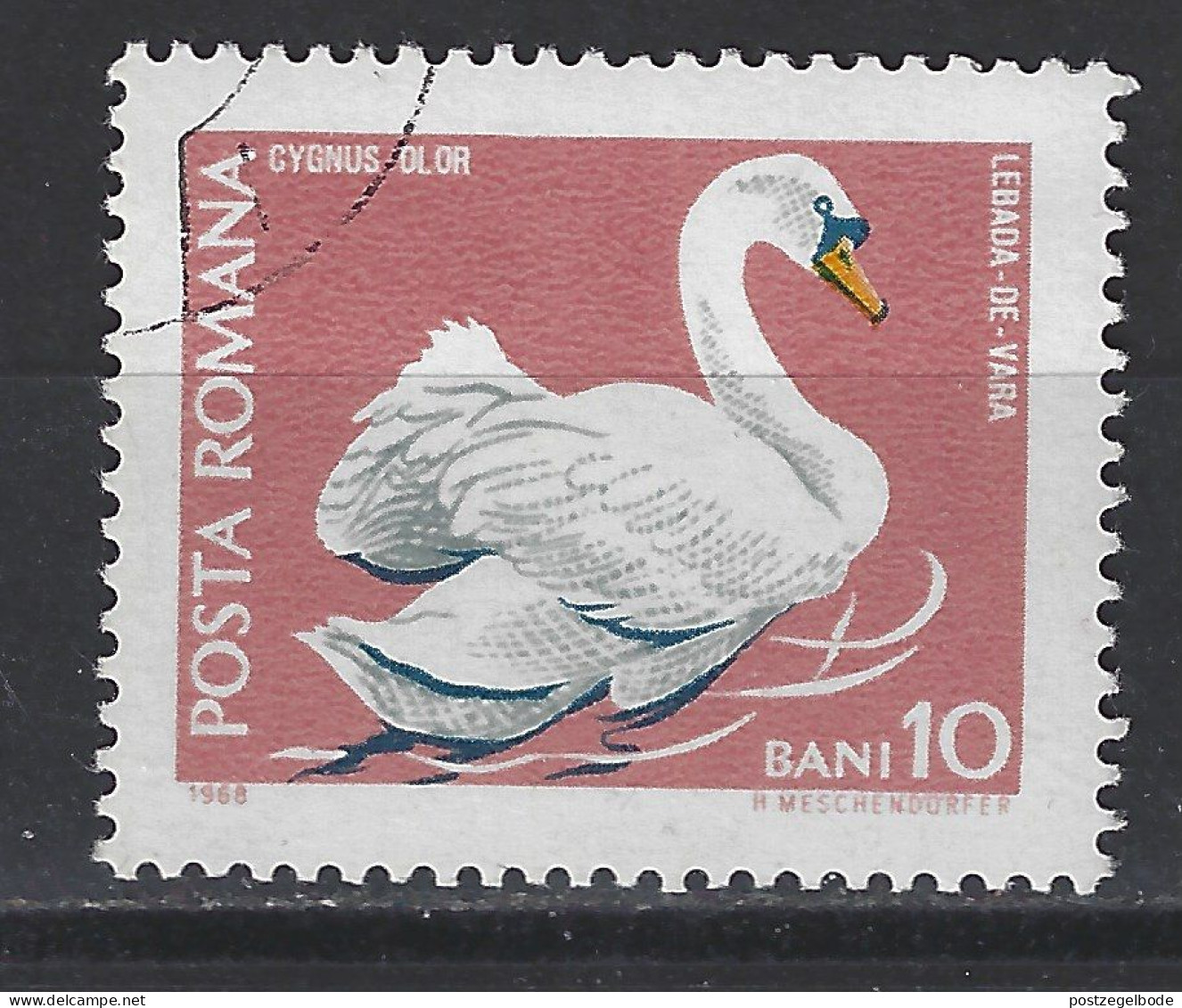 Roemenie Romania Romana Used; Zwaan Swan Cisne Cygne NOW MANY ANIMAL STAMPS - Cygnes