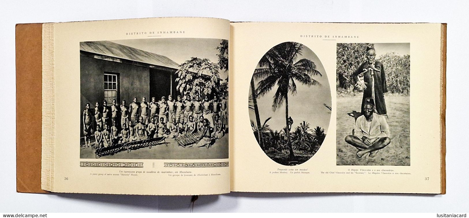 Albuns Fotograficos e Descritivos da Colonia de Moçambique(3 VOLUMES: II -III e X -RARO)(José dos Santos Rufino-1929)