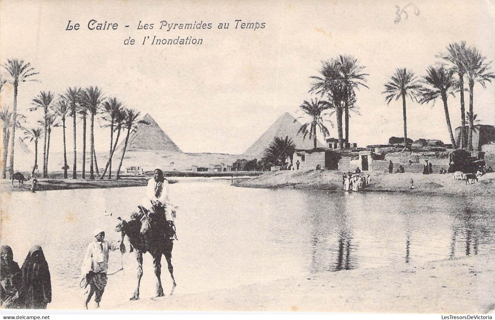 Egypte - Le Caire - Les Pyramides Au Temps De L'inondation - Pyramide - Anié  - Carte Postale Ancienne - Cairo