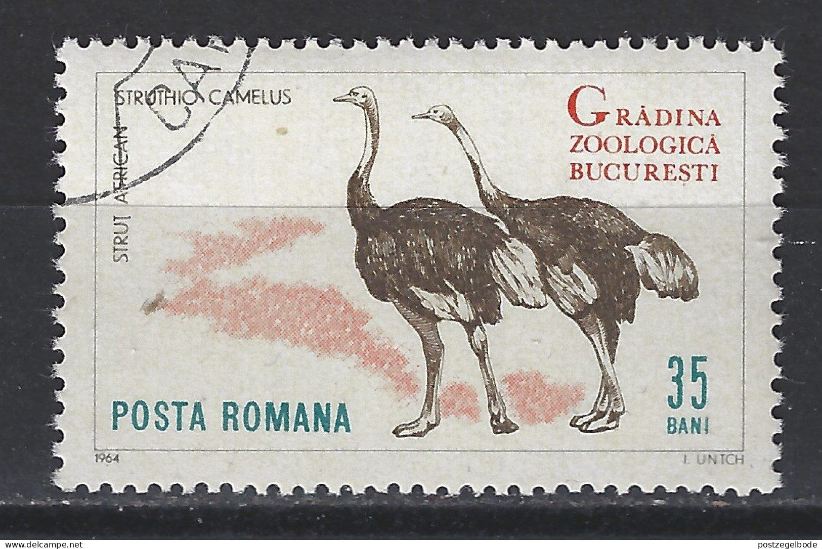 Roemenie Romania Romana Used ; Struisvogel Ostrich Autruche Avestruz Vogel Bird Ave Oiseau - Struzzi