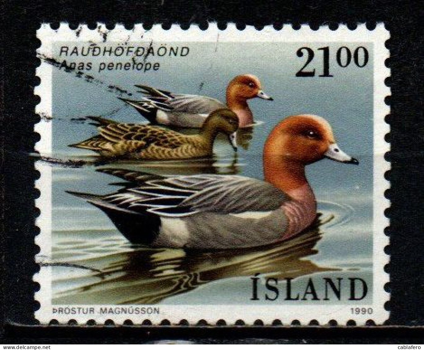 ISLANDA - 1990 - FAUNA LOCALE: ANAS PENELOPE - USATO - Used Stamps