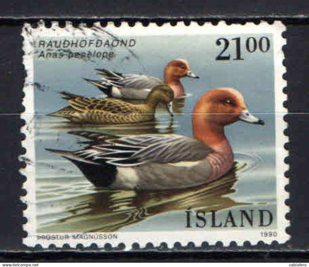 ISLANDA - 1990 - FAUNA LOCALE: ANAS PENELOPE - USATO - Gebruikt