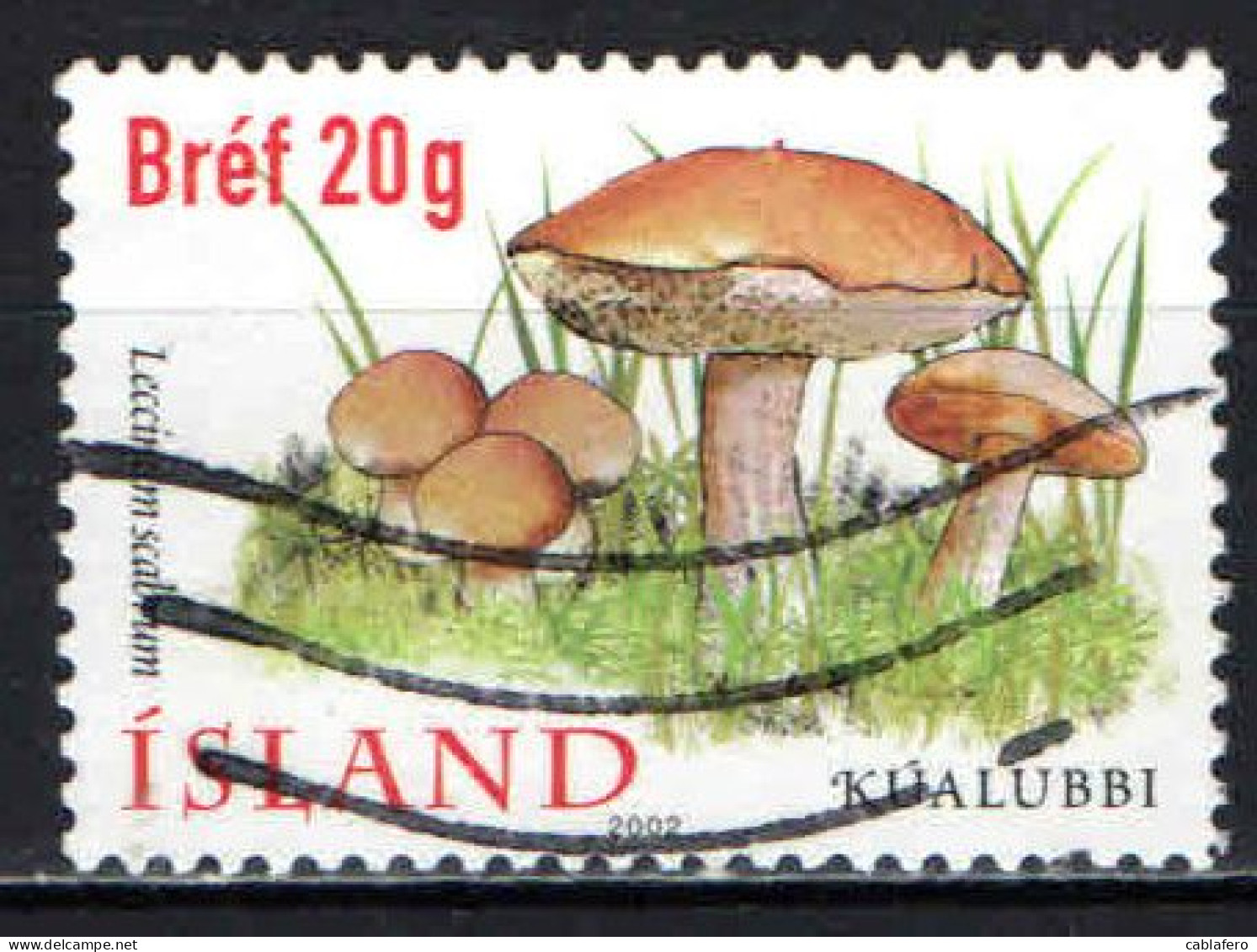 ISLANDA - 2002 - LECCINUM SCABRIUM - USATO - Usati