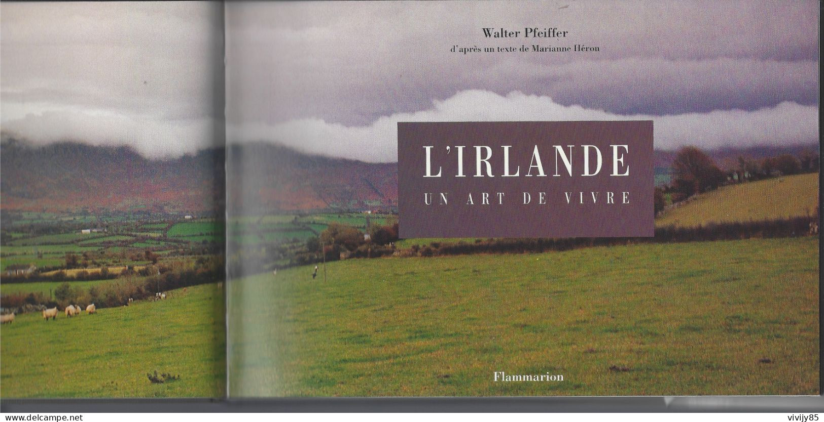 T.Beau Livre " L'IRLANDE , Un Art De Vivre " De Walter Pfeiffer - Europe