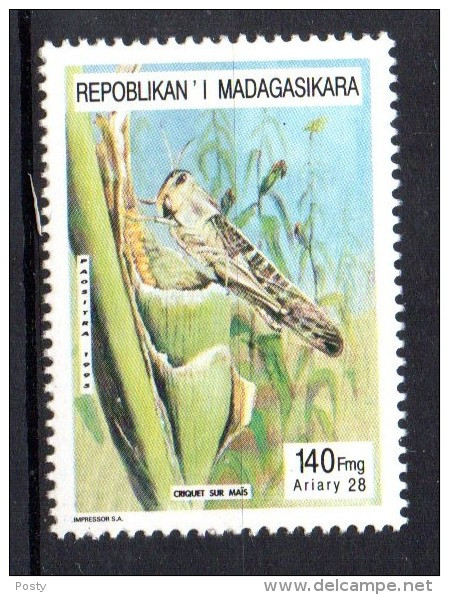 MADAGASCAR - 1995 - LE CRIQUET - CRICKET - INSECTES - INSECTS - 140 FMG - - Madagascar (1960-...)