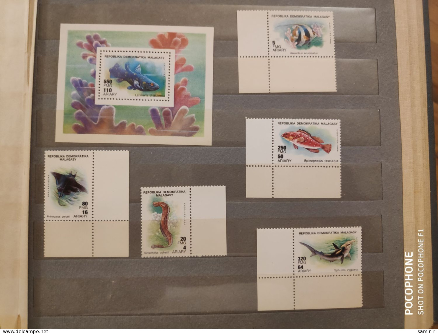 1989 Madagascar	Fishes (F6) - Madagascar (1960-...)