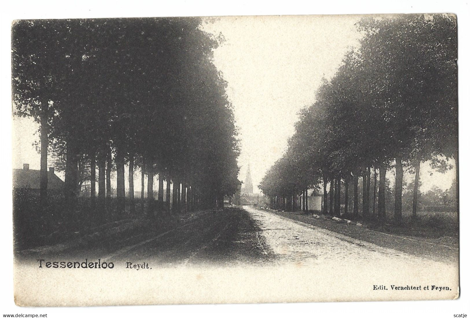 Tessenderloo   -   Reydt   -   1900 - Tessenderlo