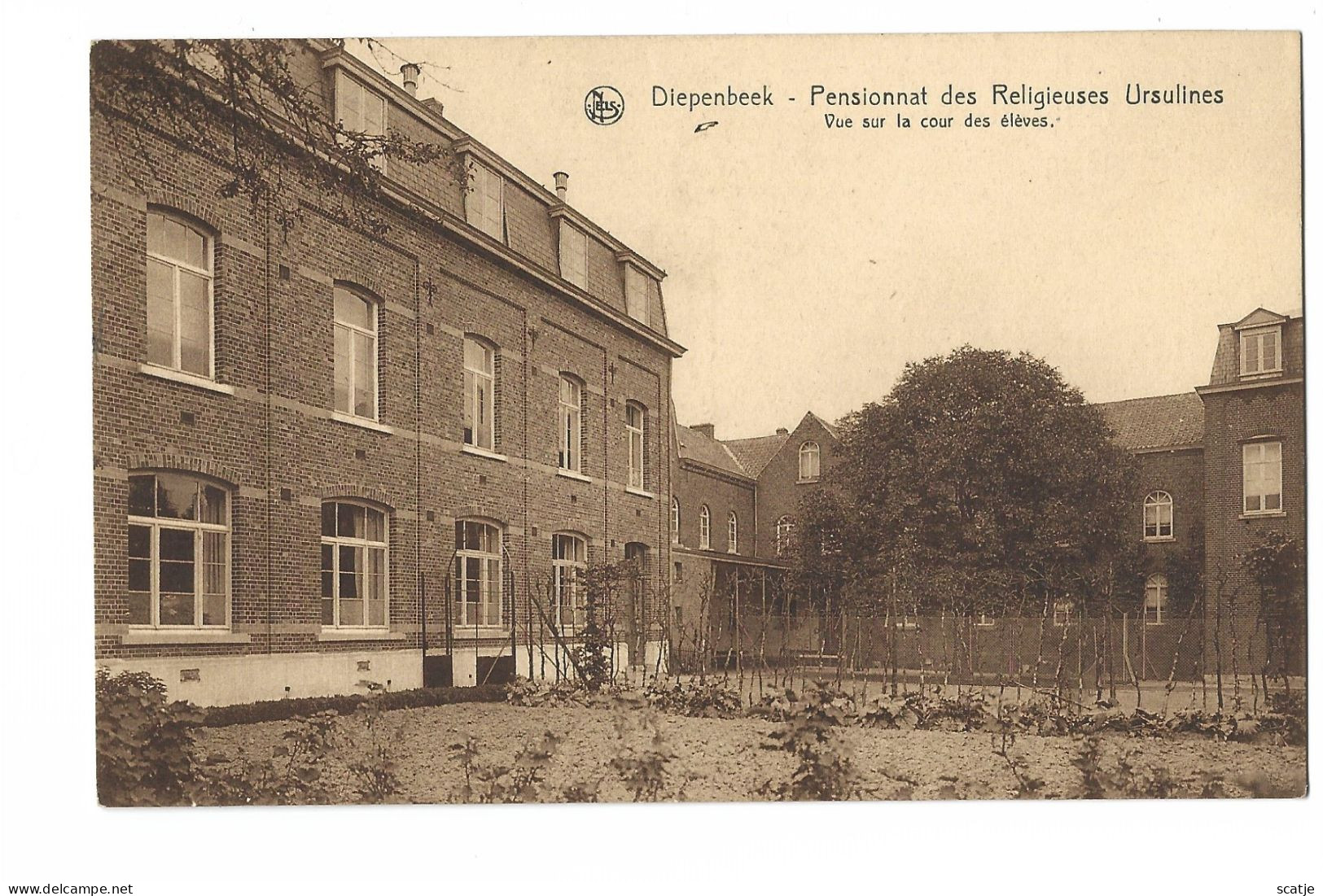 Diepenbeek   -   Pensionnat Des Religieuses Ursulines - Diepenbeek