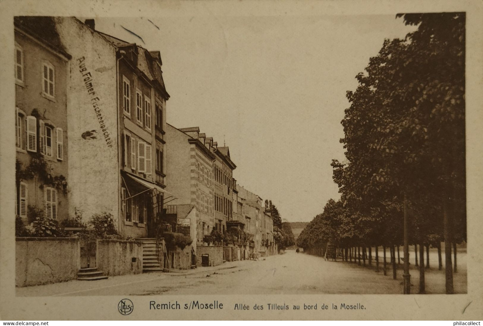 Remich  (Luxembourg)  Allee Des Tileuls Au Bord De La Moselle 1929 - Remich