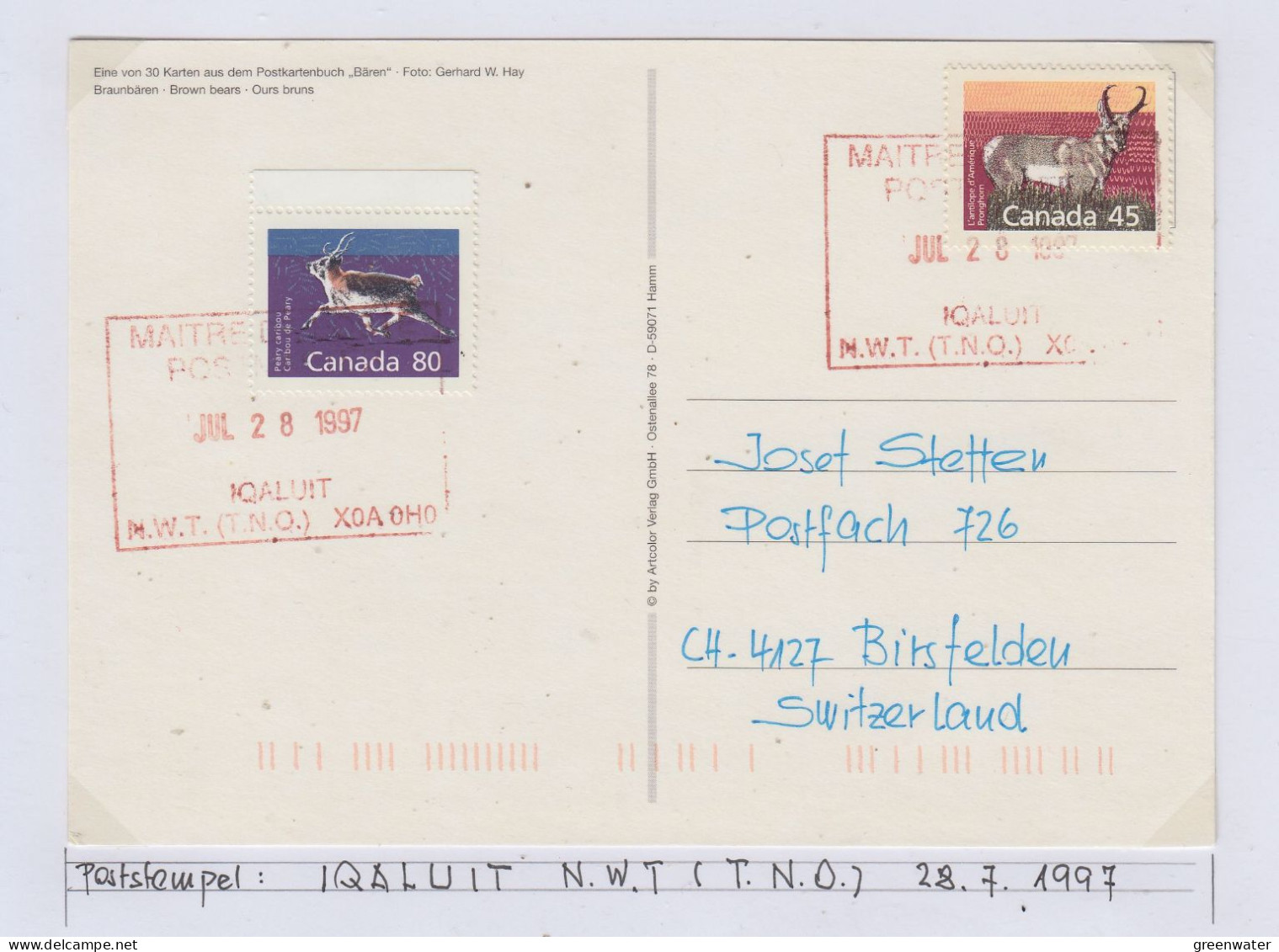 Canada Postcard "Brown Bears" Iqaluit Ca Iqaluit JUL 28 1997  (BS181A) - Scientific Stations & Arctic Drifting Stations