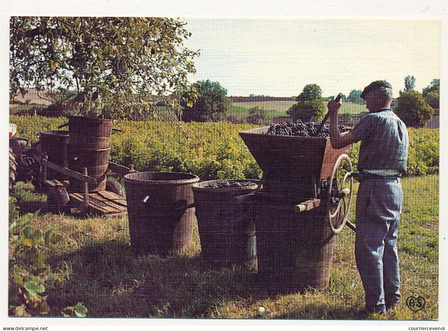 CPM - Les Petits Métiers De Chez Nous - Le Fouleur De Raisins - Farmers