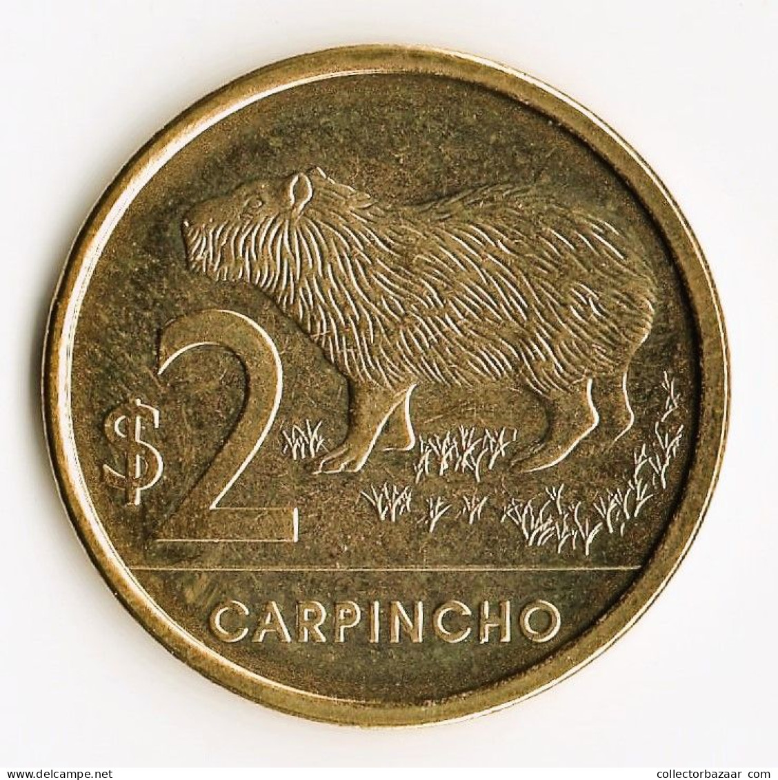 Get One Coin Or As Many As You Wish ! 2019 UNC Capybara From Uruguay Capi Carpincho ! ️ - Autres & Non Classés